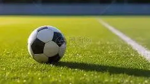 诺里斯F1赛季封王，助迈凯伦26年后再登顶车队之巅